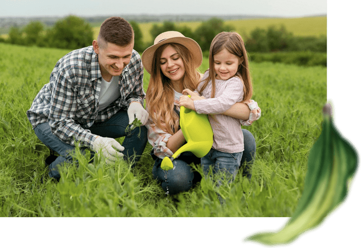 Gerontoloji Yaşam Köyü - Proje Detayları