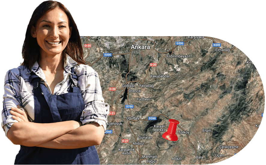 Gerontoloji Yaşam Köyü Harita